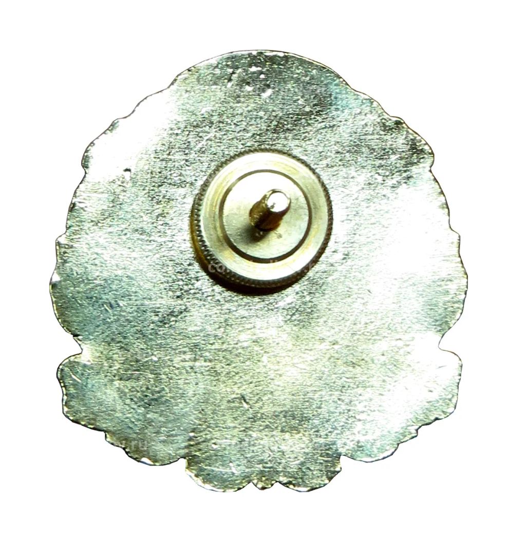 Знак Почётный гражданин города Дмитровск