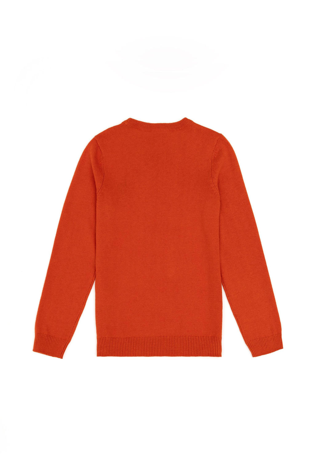 Базовый свитер Brick для девочек Неожиданная скидка в корзине - U.s. polo assn фото 2