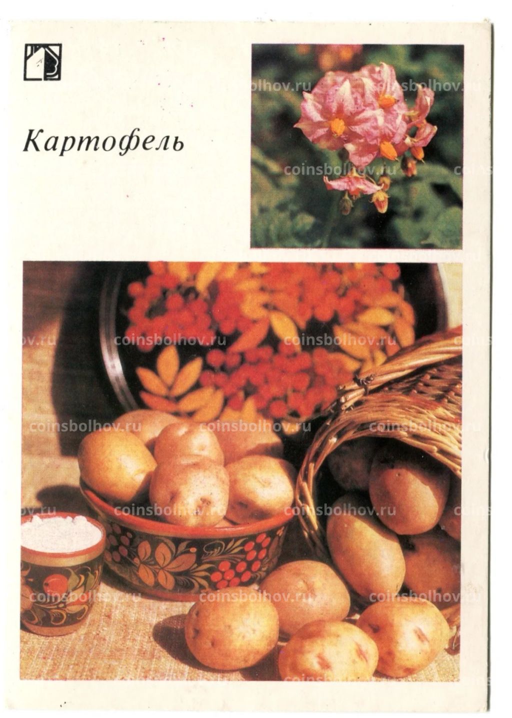 Открытка Картофель