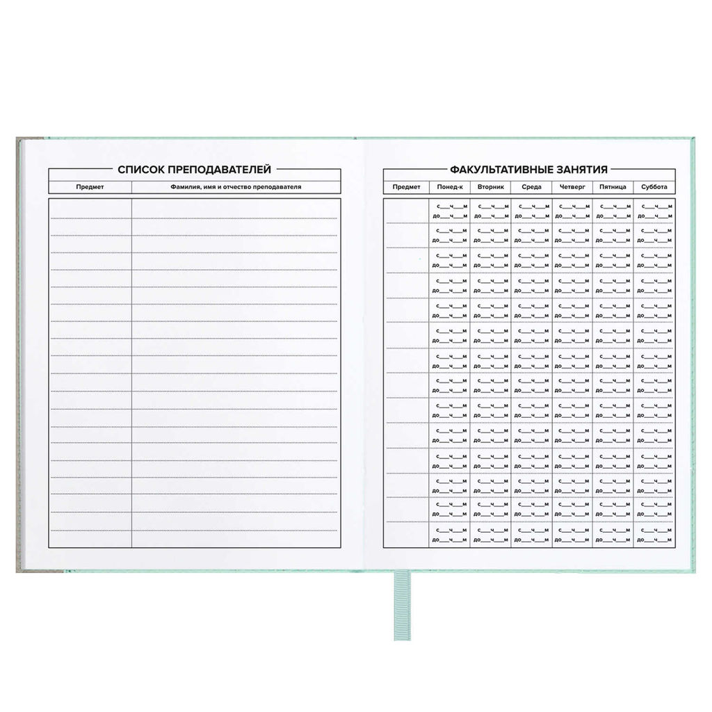 Дневник школьный арт. 68760 / 15 ПЛОНЖЕ МЯТНЫЙ