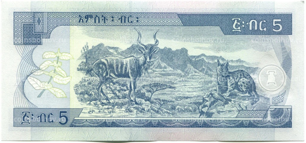 Банкнота 5 быр 2017 года Эфиопия