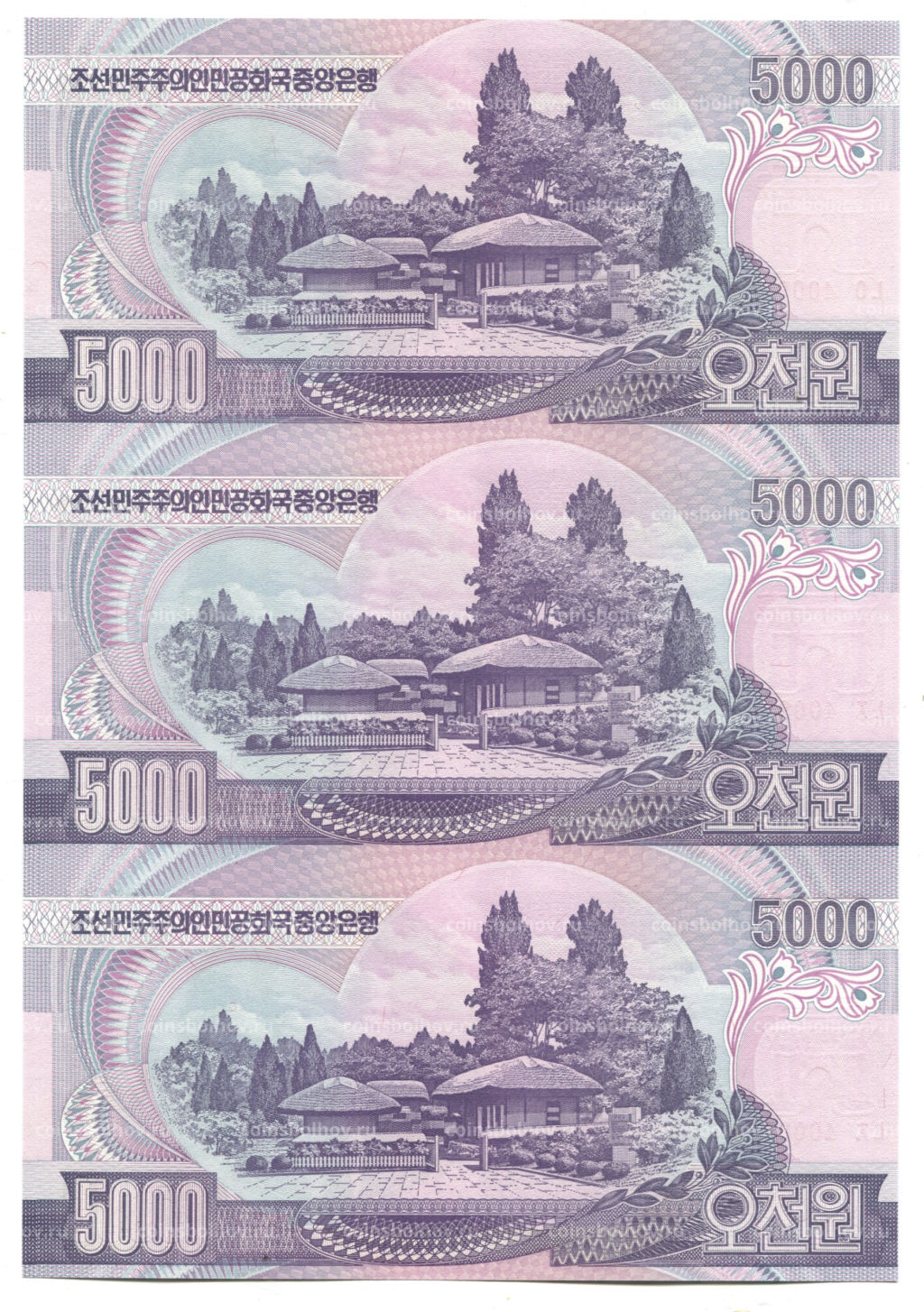5000 вон 2006 года Северная Корея  Лист из трех банкнот