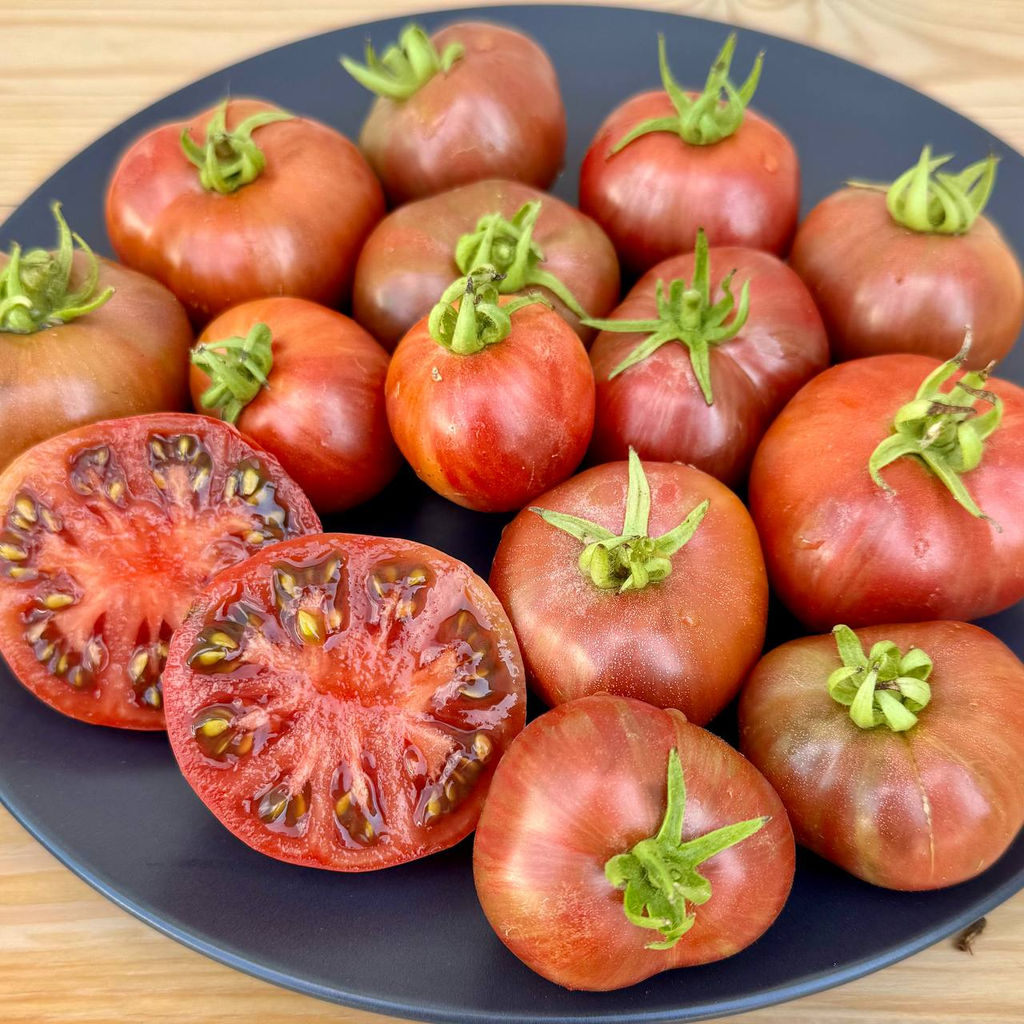 Гном Чероки тайгер блек НОВИНКА 2025 года!