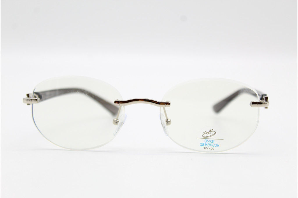 ОЧКИ ХАМЕЛЕОНЫ DisiKaer DH 119 58-20-146 С2