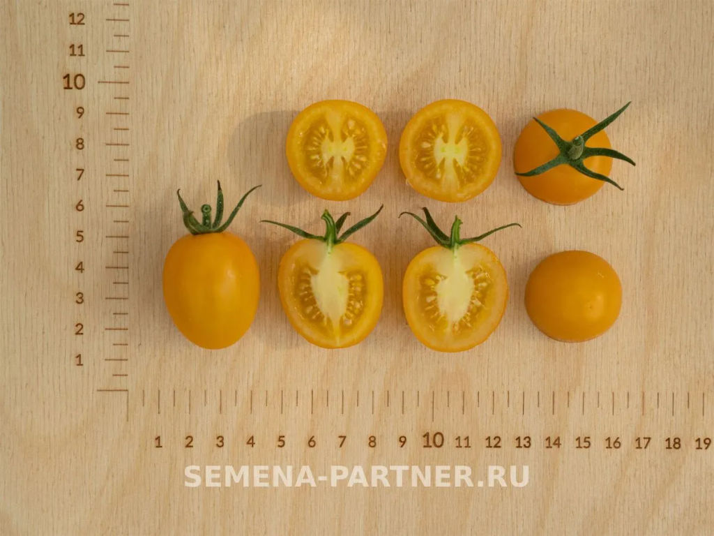 Томат Черри Софа - Партнер фото 7