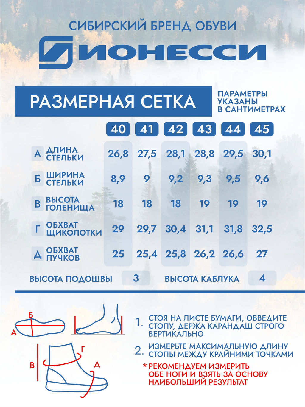 П/сапоги - Ионесси фото 3