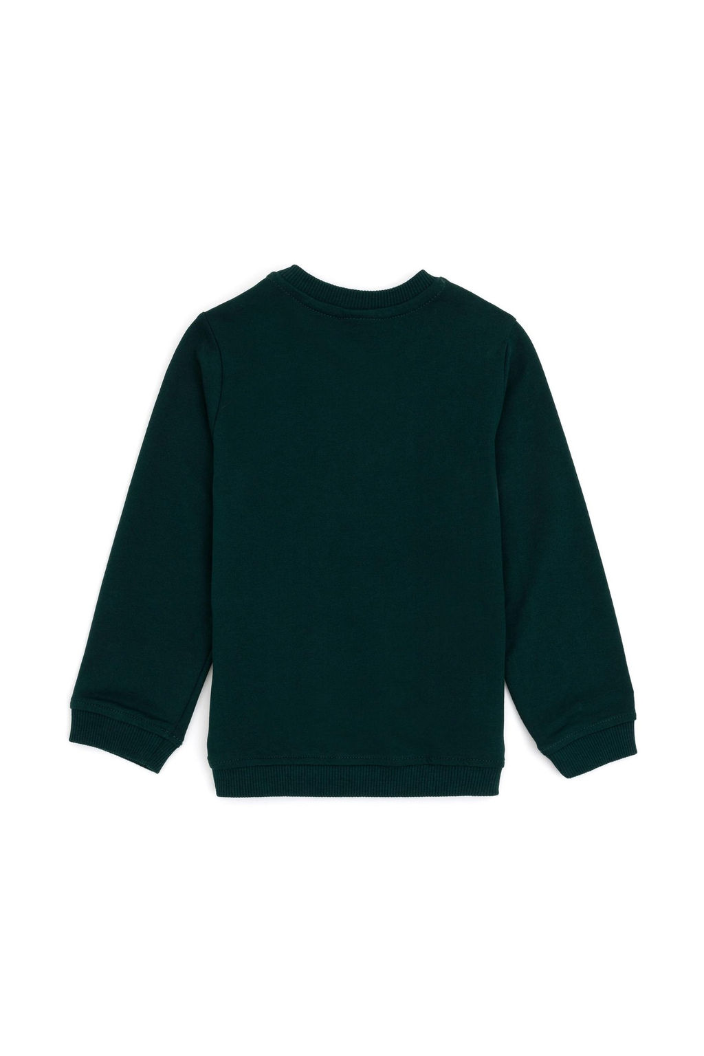 Темно-зеленый базовый свитшот для маленьких мальчиков Неожиданная скидка в корзине - U.s. polo assn фото 2