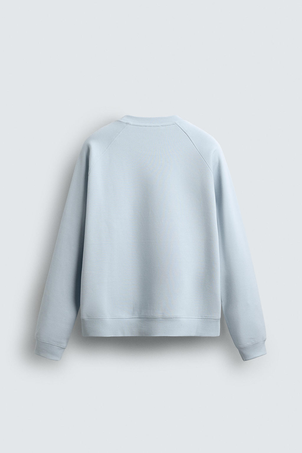 SUDADERA LAVADA ESTRUCTURA PIQU? / Celeste - Zara фото 8