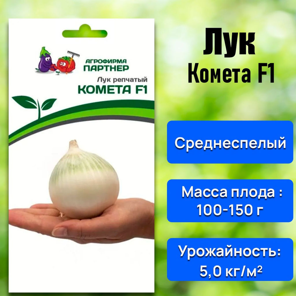 Лук репчатый Комета - Партнер фото 7