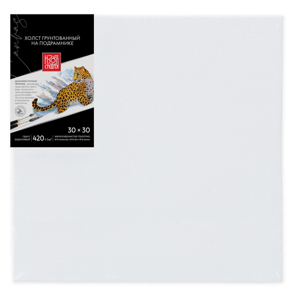 Холст грунтованный на подрамнике Аква-колор Изостудия IZO-MCFG-3030 40% полиэстер, 30% лён, 30% хлопок 30 х 30 см 420 г/кв.м 2 шт мелкозернистый