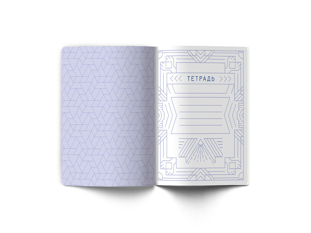 Светоч 48ТПСК5_126_2_1 Тетрадь со справочным материалом Линия успеха, софт тач ламинация + тиснение фольгой, A5 48 л. на скобе 65 г/кв.м , белизна 100 % 10 шт. , клетка 000574 Геометрия фото 4