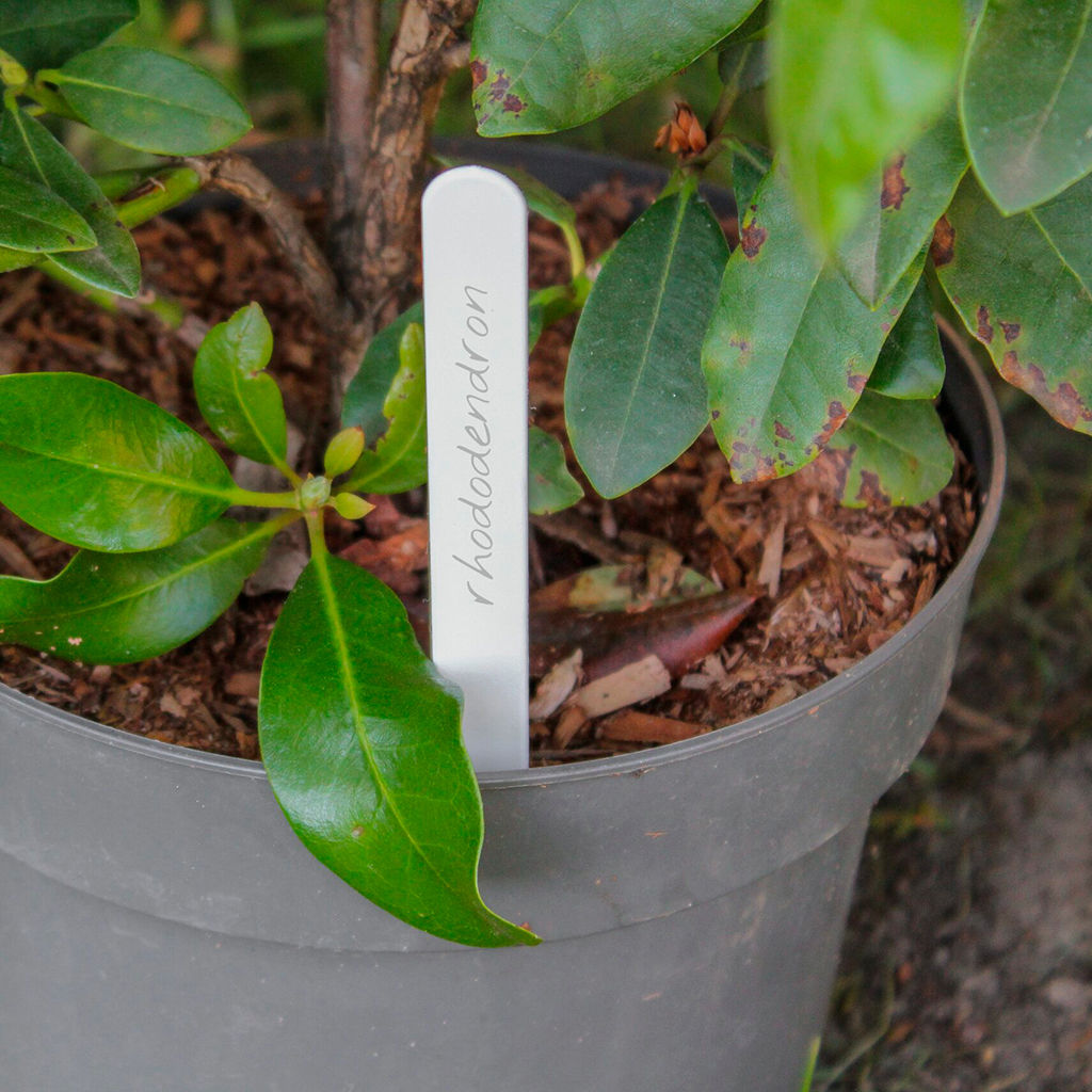 Ярлык садовый для маркировки растений 15см, полипропилен, белый, набор 20шт (Беларусь)