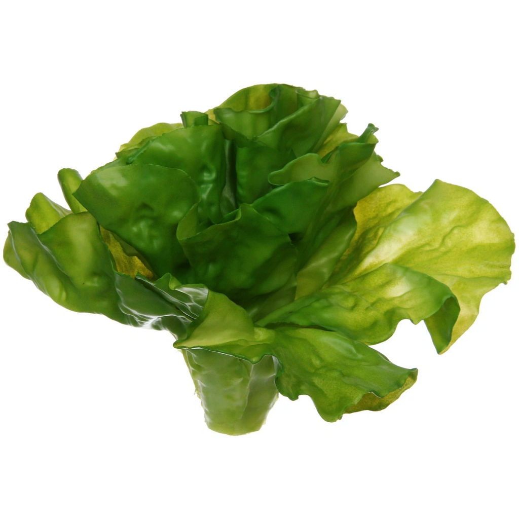 Муляж "Салат Латук" 17*15см