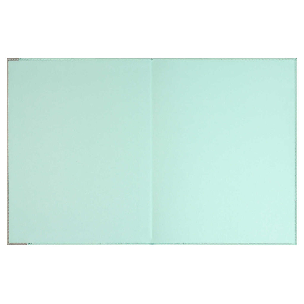 Дневник школьный арт. 68760 / 15 ПЛОНЖЕ МЯТНЫЙ