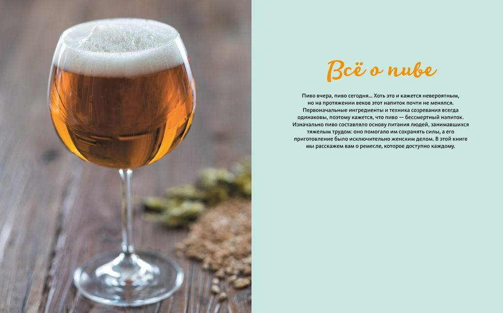 Beer Expert: Пиво. Идеальный путеводитель по сортам, видам, рецептам. Гезий К. - Колибри фото 4