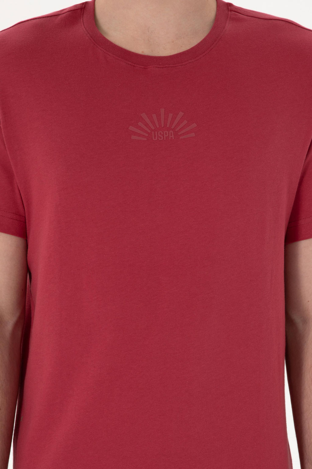 Erkek Regular Fit Bisiklet Yaka Vi_ne Ti__rt Sepette S_rpriz _ndirim - U.s. polo assn фото 6