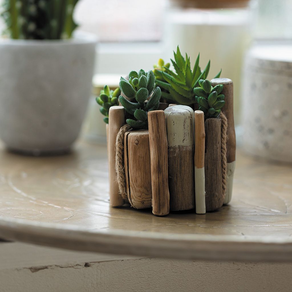 Blumentag DRW-02 Набор природных материалов дрифтвуд 200 г  5 г 01  фото 4