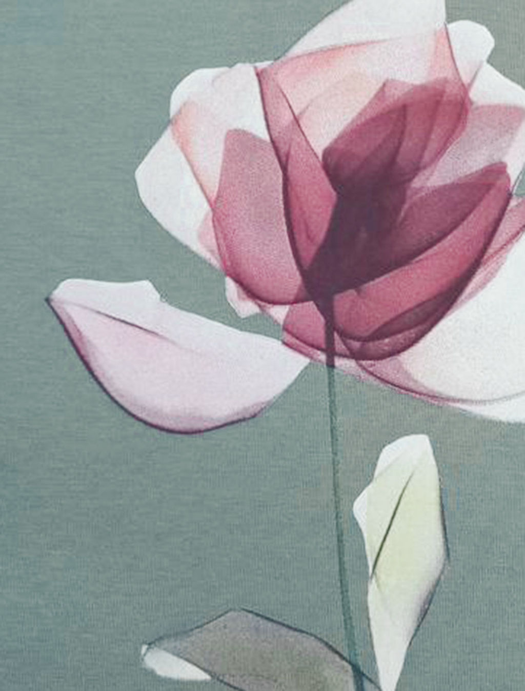 Футболка из премиального хлопка с авторским принтом - Vilatte фото 2