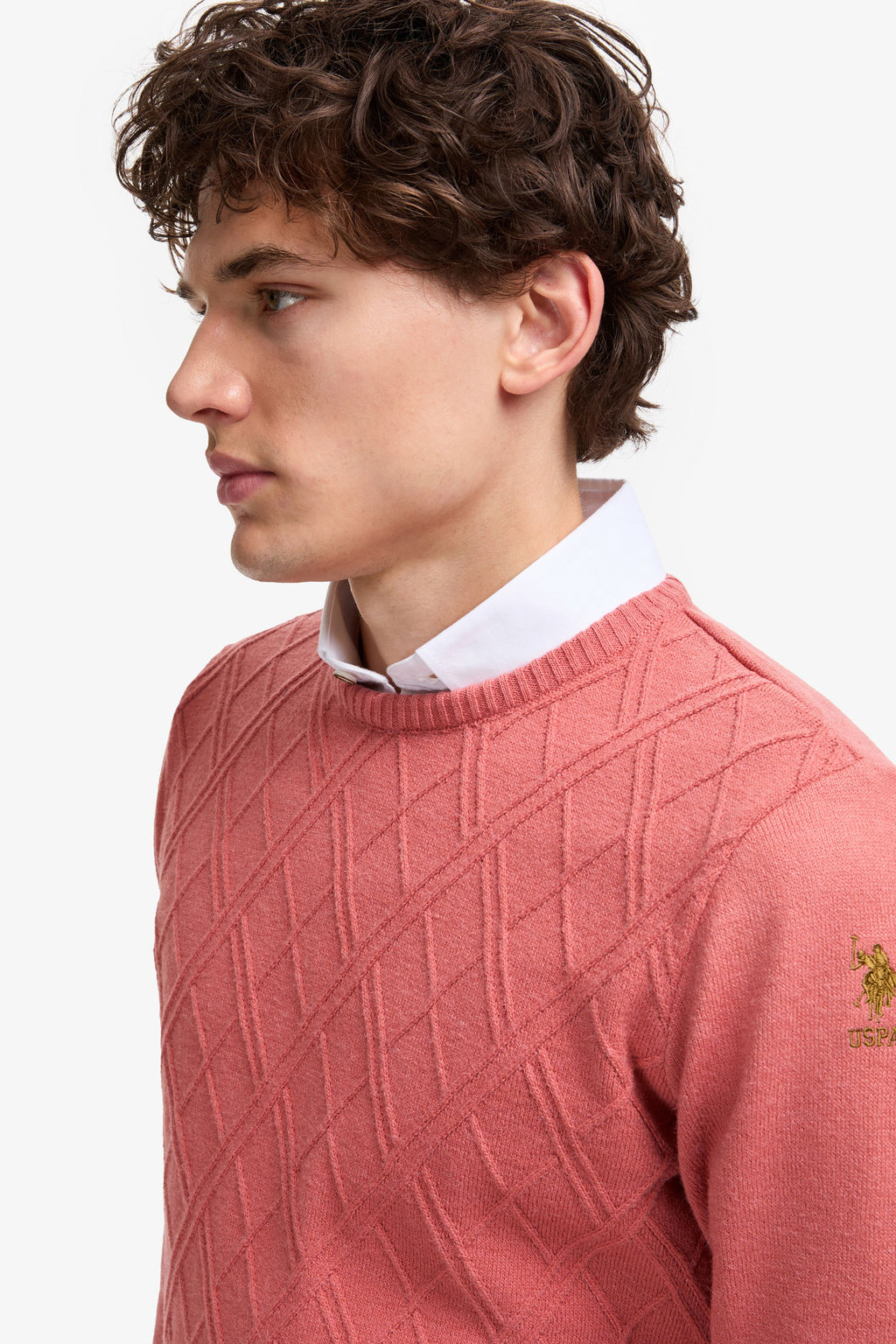 Erkek Regular Fit Bisiklet Yaka GГl Kurusu Kazak - U.s. polo assn фото 2