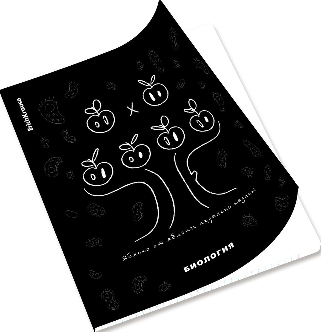 Цена за 5 шт. Тетрадь общая ученическая с пластиковой обложкой на скобе ErichKrause Зри в корень, Биология, 48 листов, клетка  фото 6