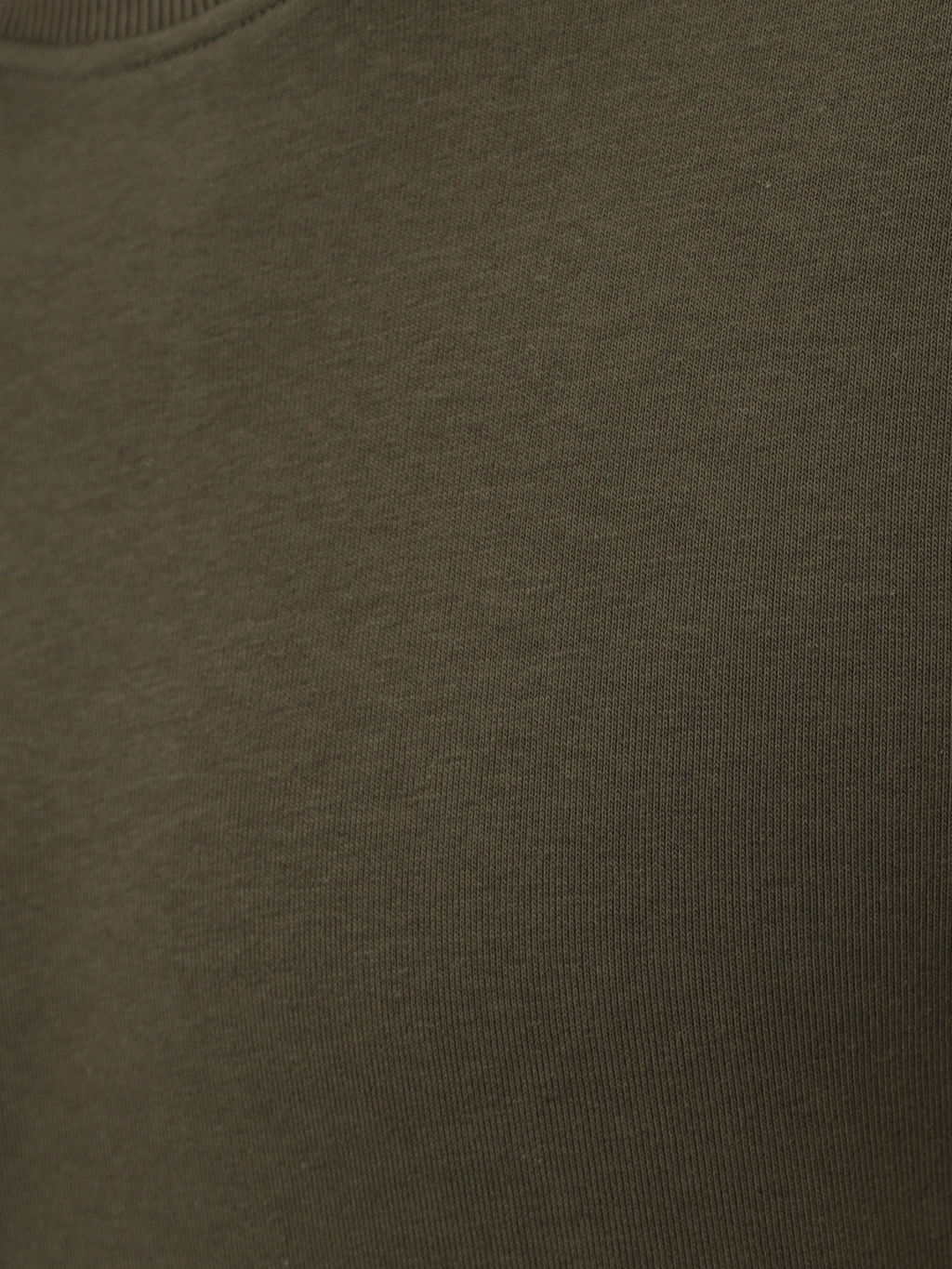 Свитшот мужской GREG G121-OZ03-38 (хаки)  фото 2