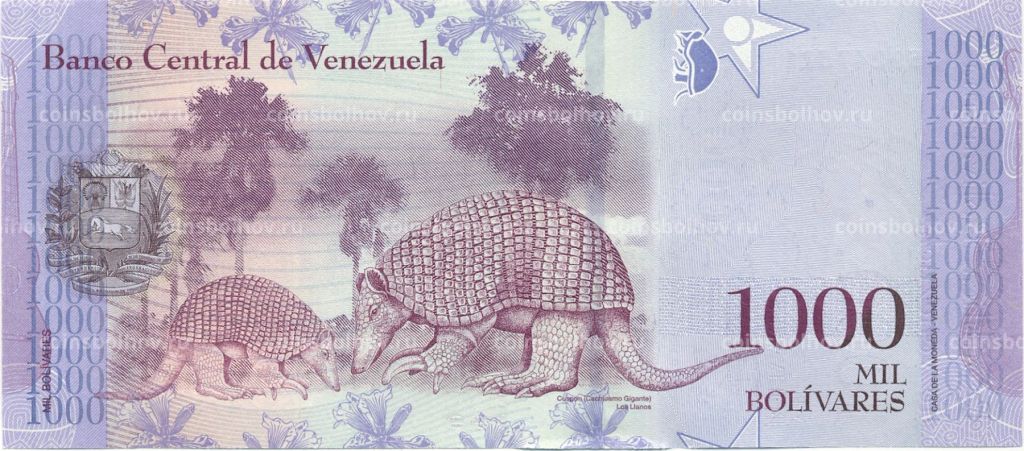 Банкнота 1000 боливар 2017 года Венесуэла