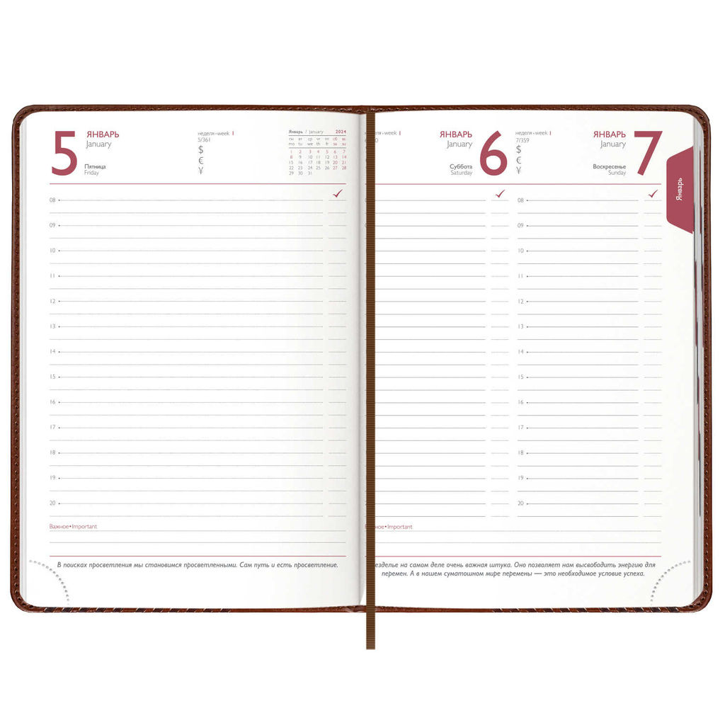 Ежедневник датированный 2024 ESCALADA, А6+, 176 л., арт. 63787/ 20 САРИФ КОРИЧНЕВЫЙ  фото 12