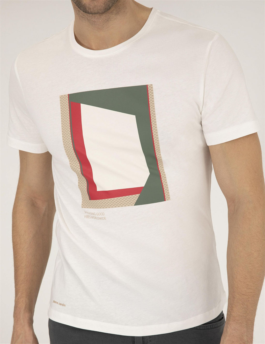 Ekru Slim Fit Bask_l_ Bisiklet Yaka Ti__rt - Pierre cardin фото 6