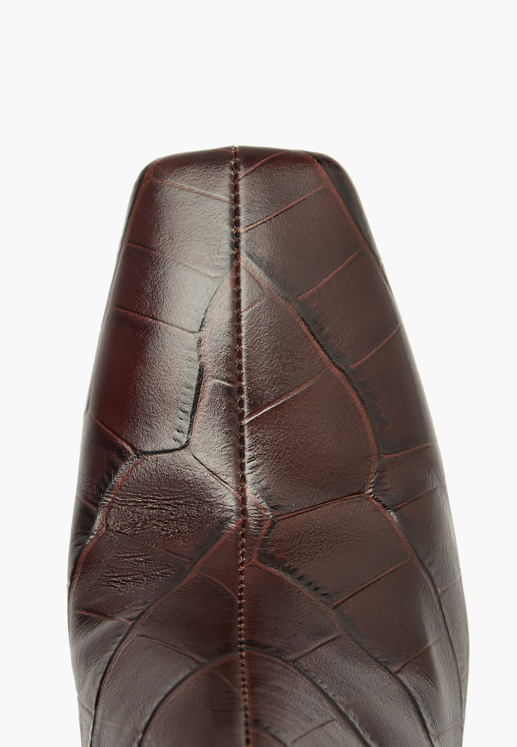 Челси - Mascotte фото 5