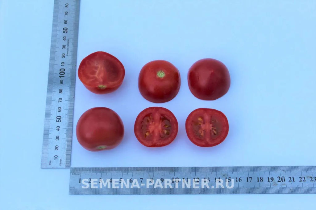 Томат Малиновый Коктейль - Партнер фото 5