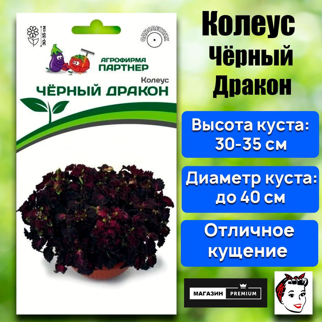 3315P Колеус ЧЁРНЫЙ ДРАКОН 10шт