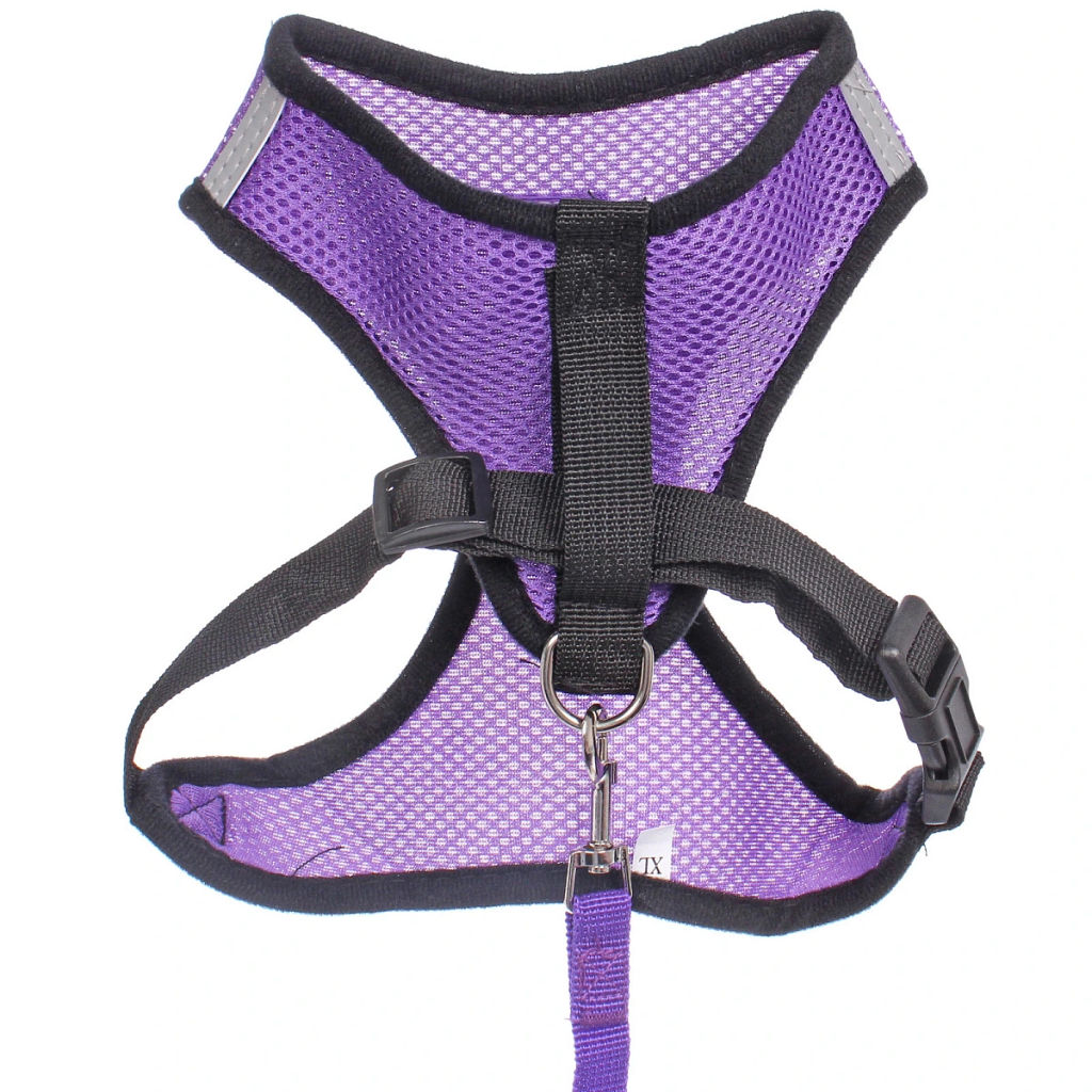 Цена за 2 шт. Шлейка с поводком 118см "Sweet puppy" размер ХL, цвет фиолетовый