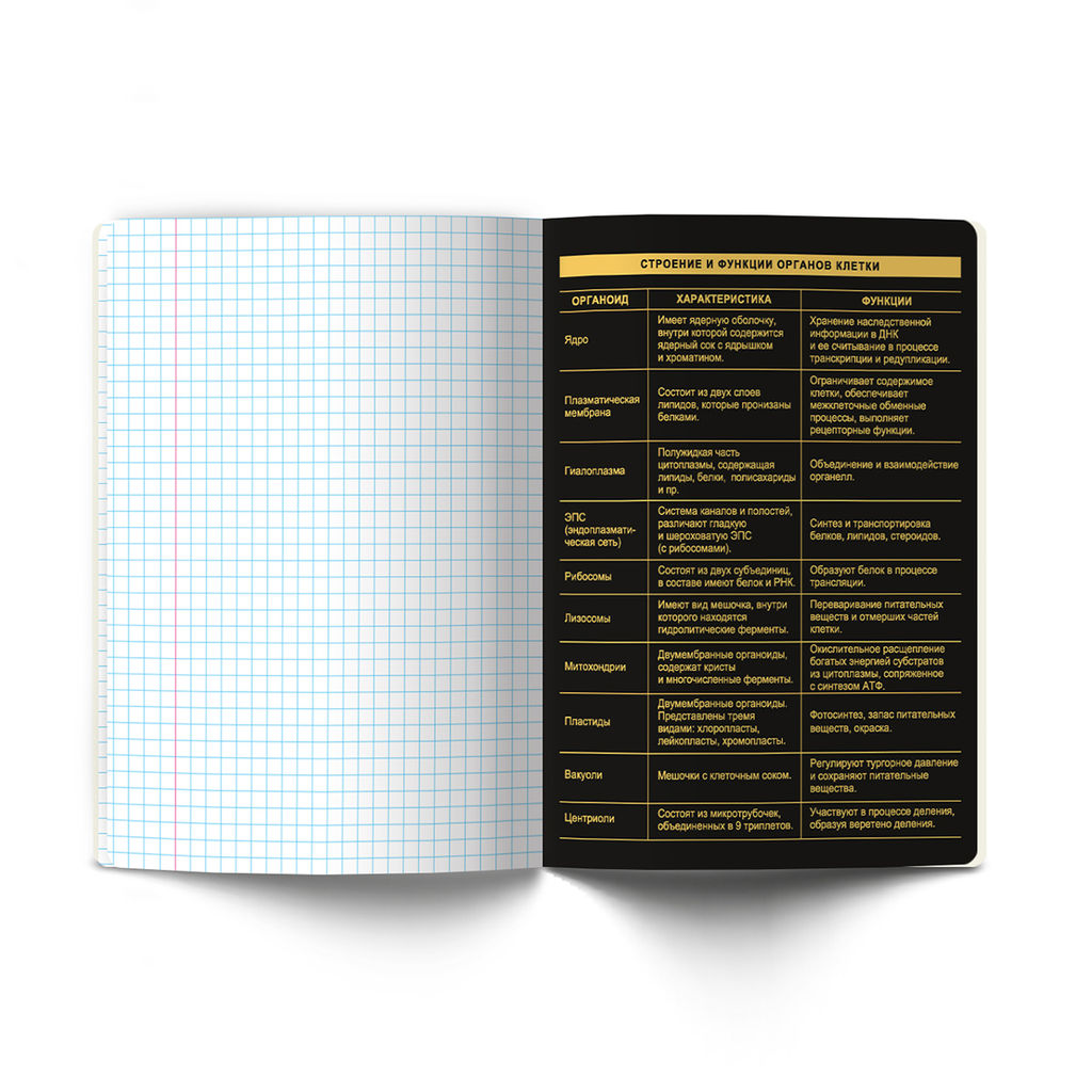 Светоч Т145 Тетрадь со справочным материалом Золотая коллекция, тиснение золотой фольгой, A5 48 л. на скобе 65 г/кв.м , белизна 100 % 10 шт. , клетка 01324 Золотая коллекция Биология фото 6