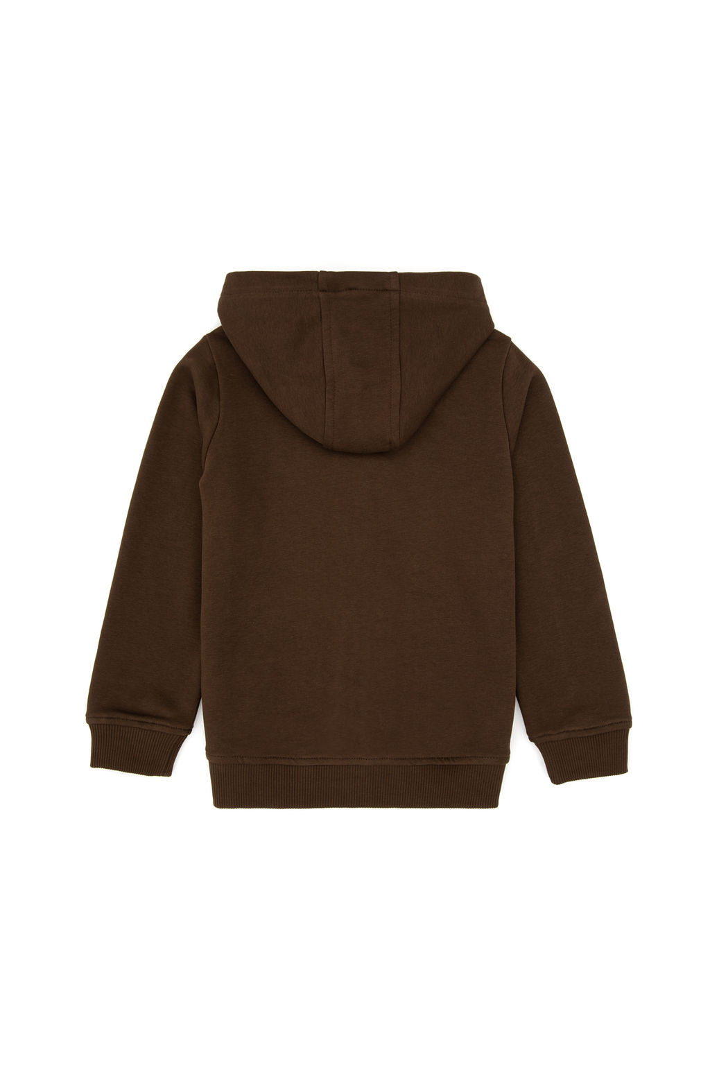 Erkek Гocuk Kahverengi FermuarlД KapГЕonlu Sweatshirt - U.s. polo assn фото 6
