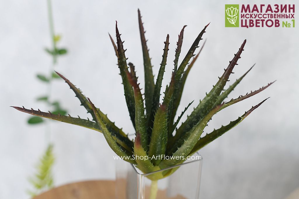 188 Алоэ 23 см