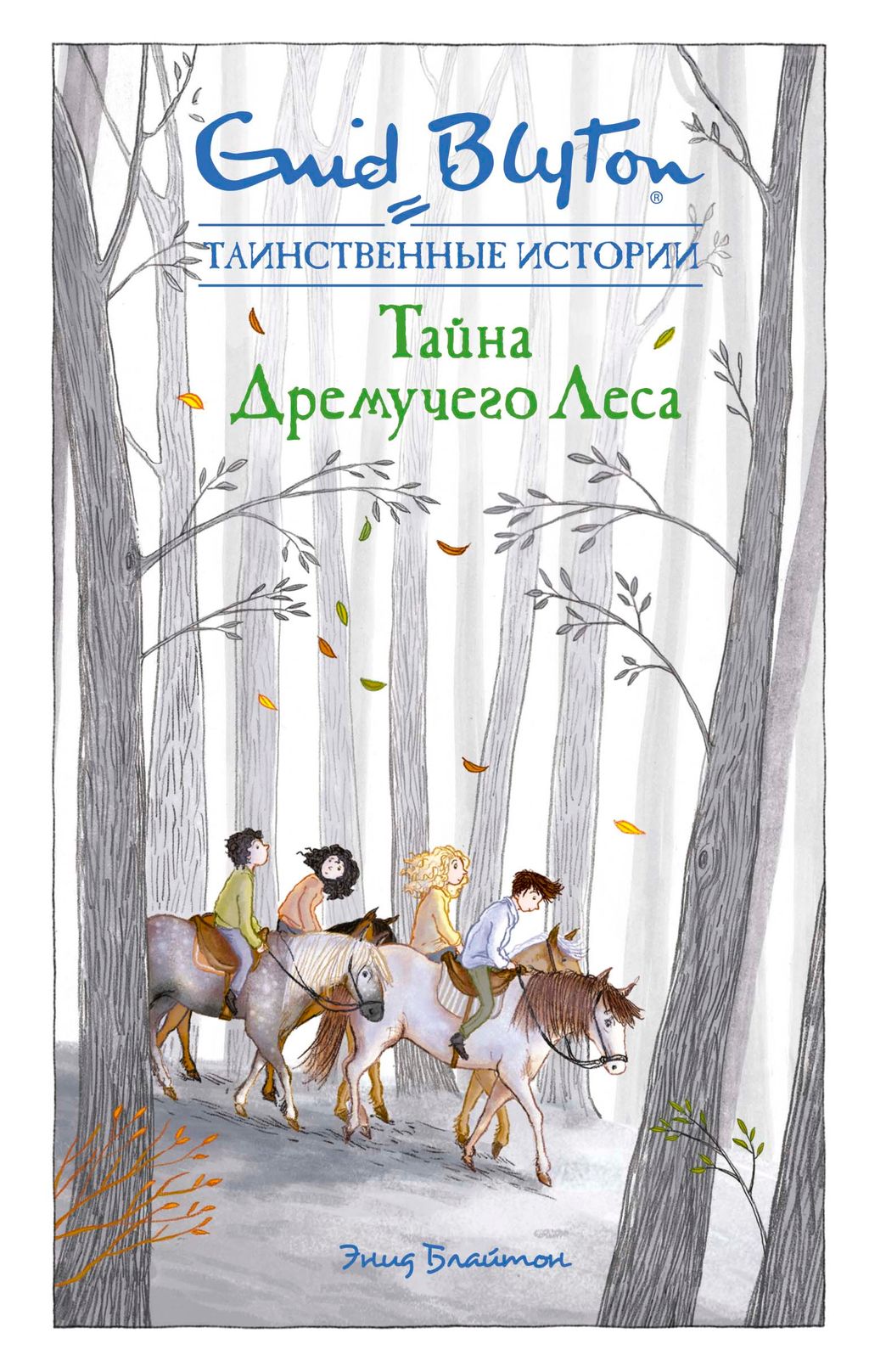 Тайна дремучего леса. Блайтон Э.