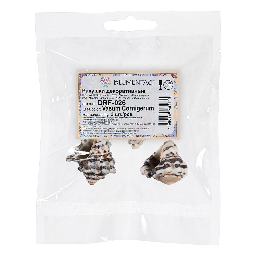 Blumentag / Zlatka DRF-026 Ракушки морские 3 шт. 6.3 см Vasum Cornigerum