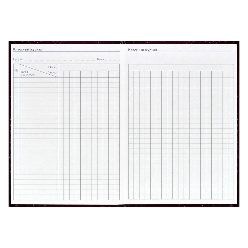 Ежегодник учителя арт. 62336 БОРДОВАЯ ФАКТУРА - Феникс+ фото 16