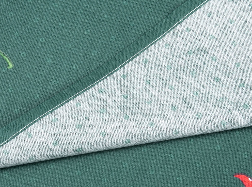 1028/0-БЧ Наволочка 50*70 "Chili" рис. 613501