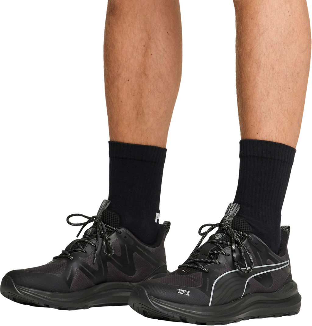 Кроссовки взрослые