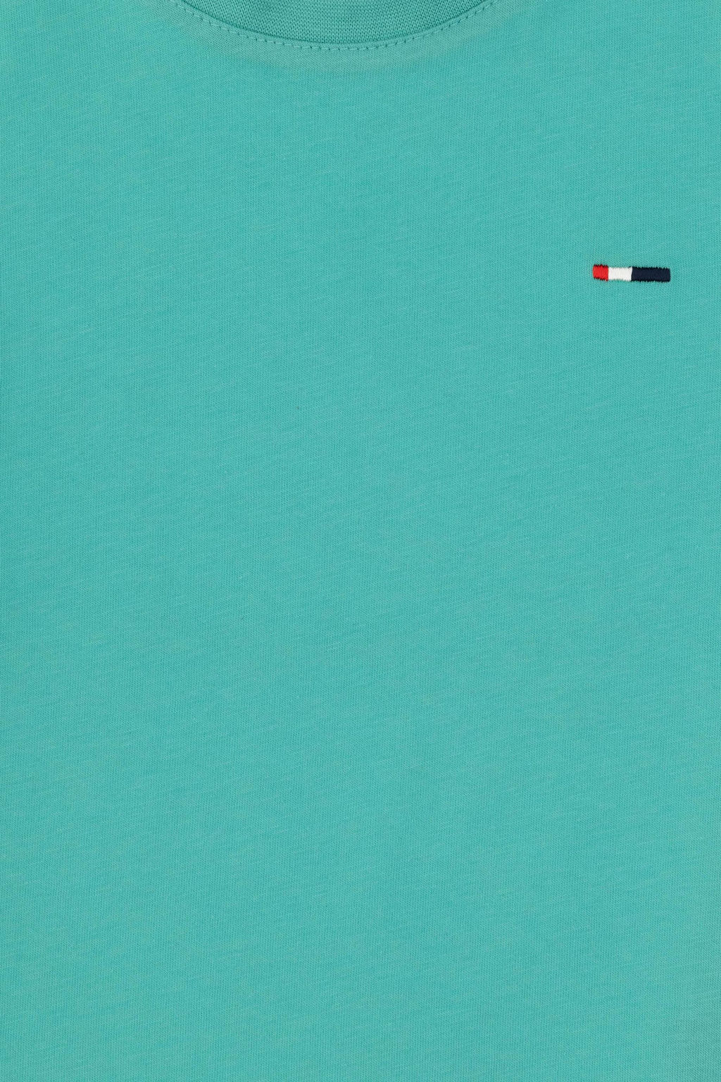 Erkek _ocuk Mint Basic Ti__rt Sepette S_rpriz _ndirim - U.s. polo assn фото 3