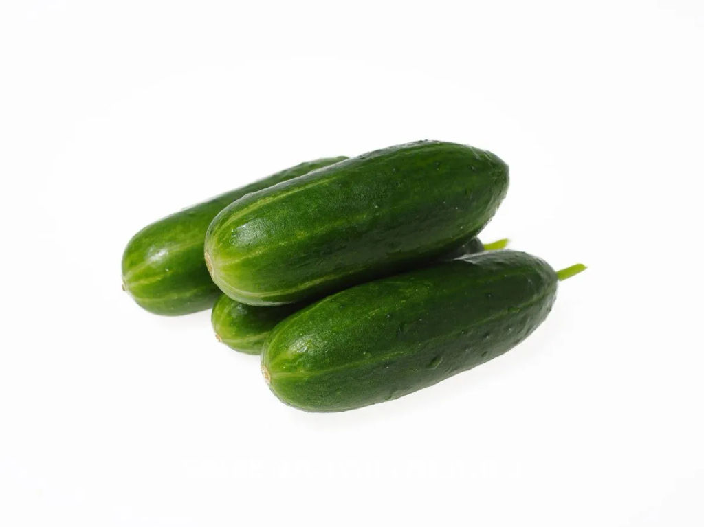 Огурец партенокарпический Крош - Партнер фото 4