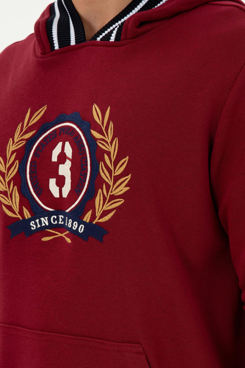 Мужской бордово-красный свитшот Неожиданная скидка в корзине - U.s. polo assn фото 7