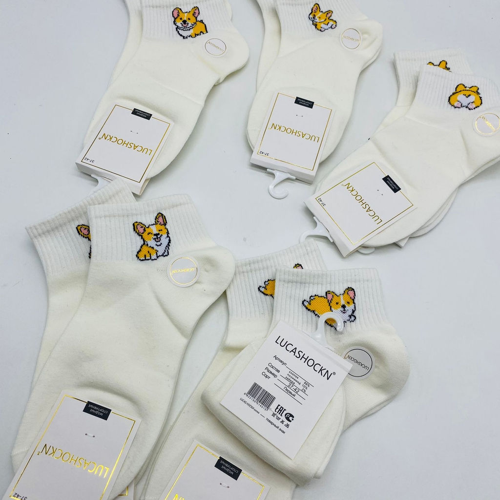 Носки короткие LUCASHOCKN Корги 10 шт в уп - Storyland фото 3