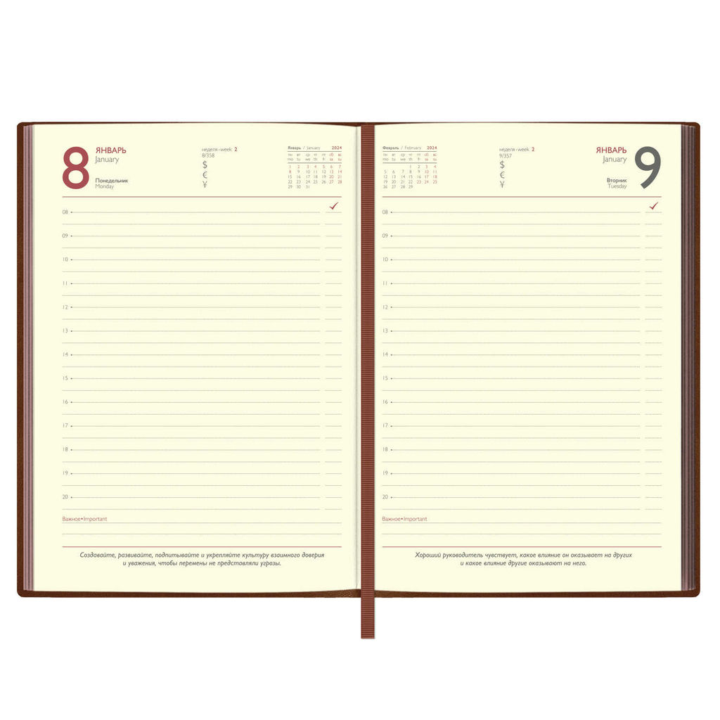 Ежедневник датированный 2024 ESCALADA, А6+, 176 л., арт. 63811/ 15 ГОУТСКИН КОРИЧНЕВЫЙ  фото 11