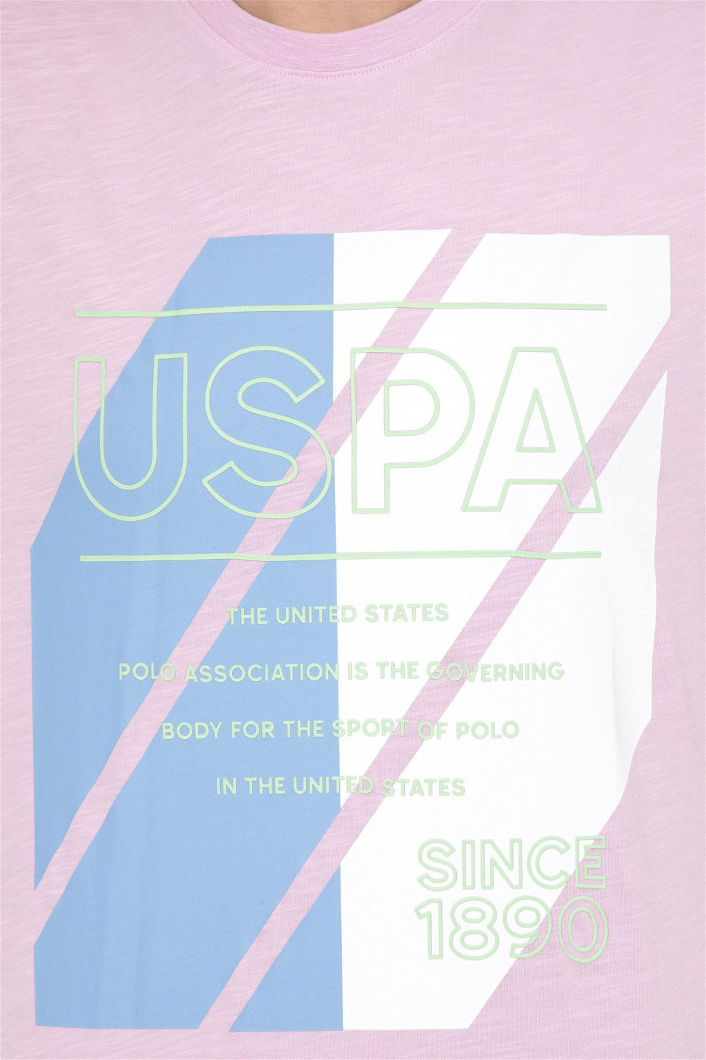 U. S. Polo Assn Мужская футболка с круглым вырезом Магнолия - U.s. polo assn фото 12