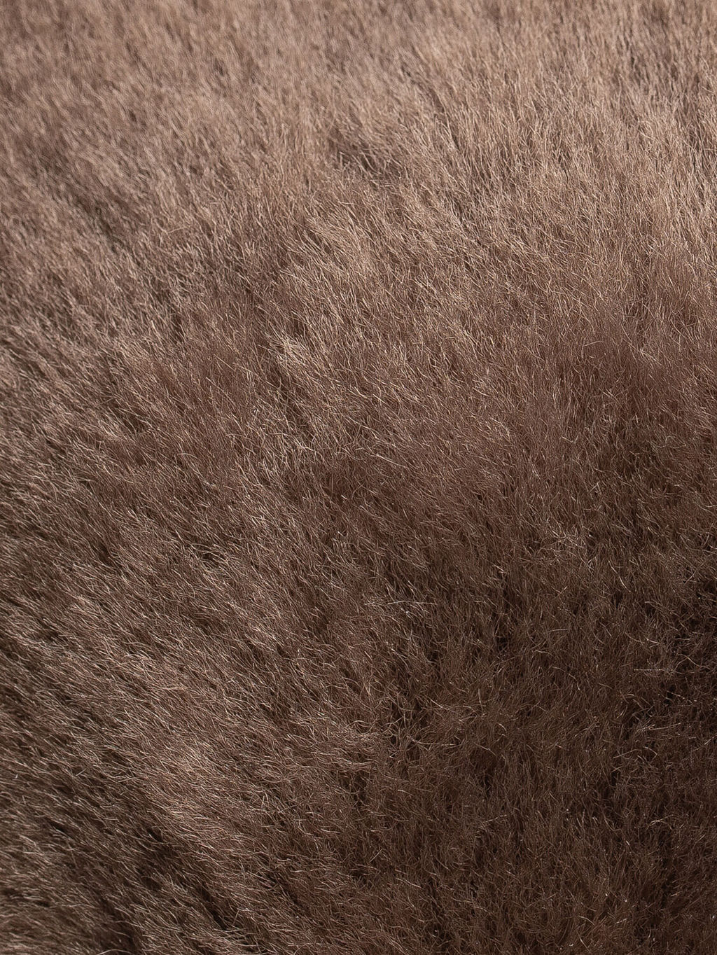 сапоги
								BELWEST  фото 6