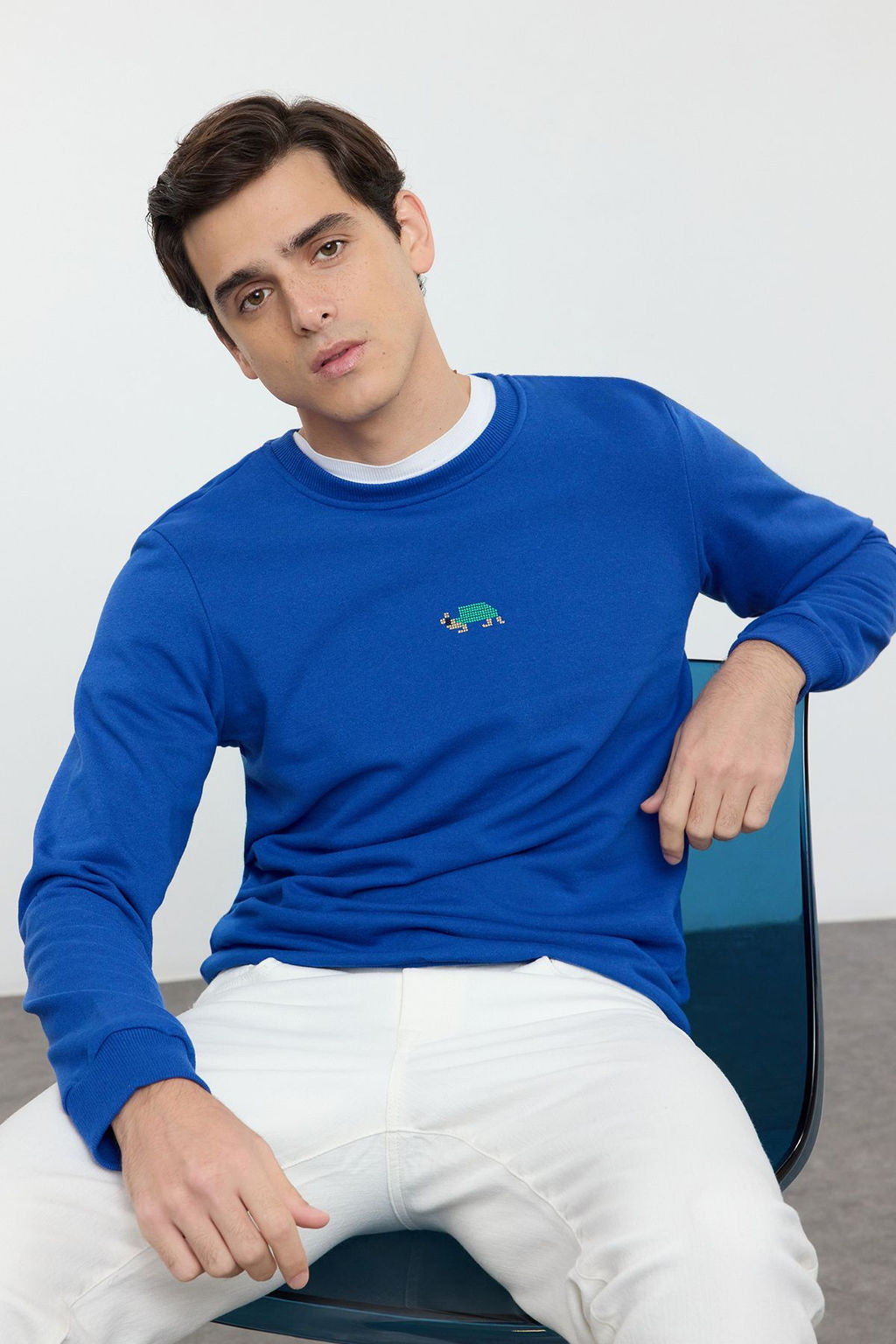 TRENDYOL MAN Tas Regular/Normal Kesim Bisiklet Yaka Etamin Hayvan Nak?sl? Sweatshirt TMNAW25SW00158 - Trendyolmilla фото 11