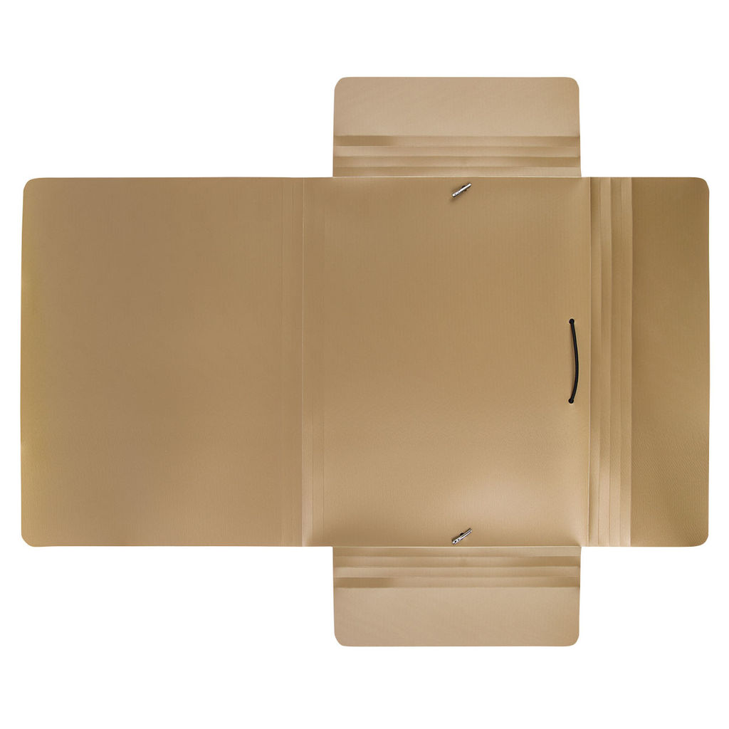 Expert Complete PRISMA Папка на резинке A4 600 мкм 35 мм эффект 3D 5 шт. золотой EC210400028