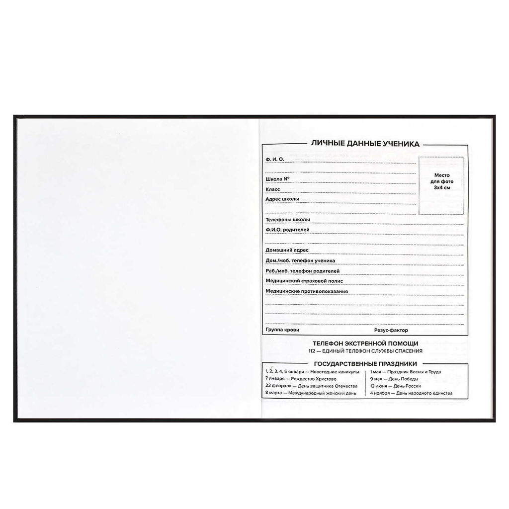 Дневник школьный арт. 58671 ФРАЗЫ С ХАРАКТЕРОМ